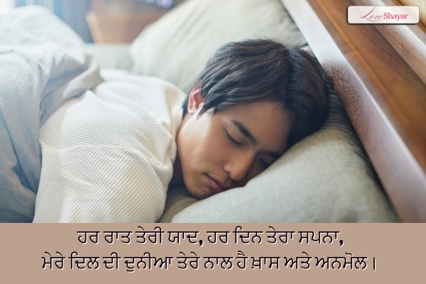 2-Line Punjabi Shayari Love