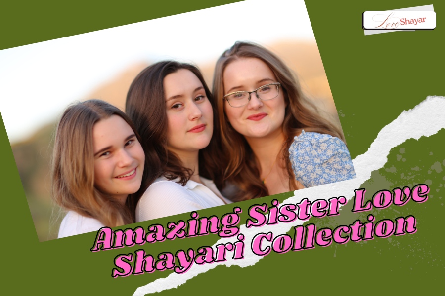 Amazing Sister Love Shayari Collection