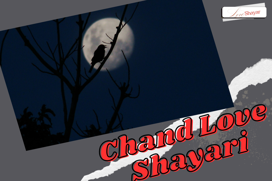 Chand Love Shayari