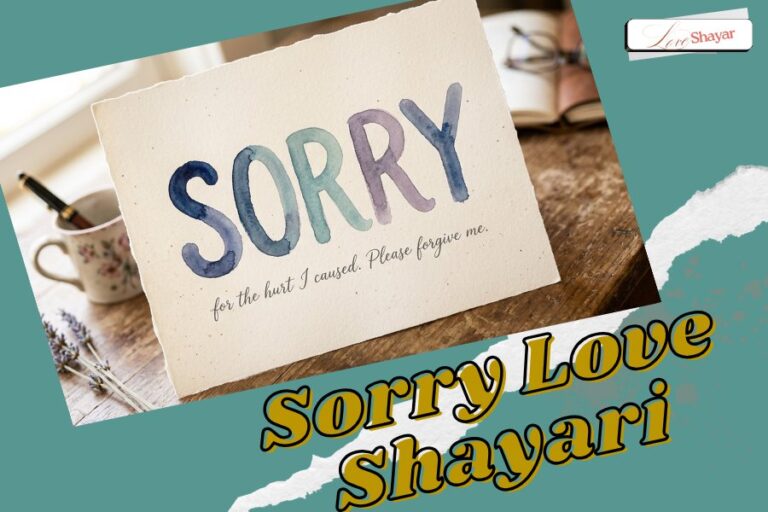 Sorry Love Shayari